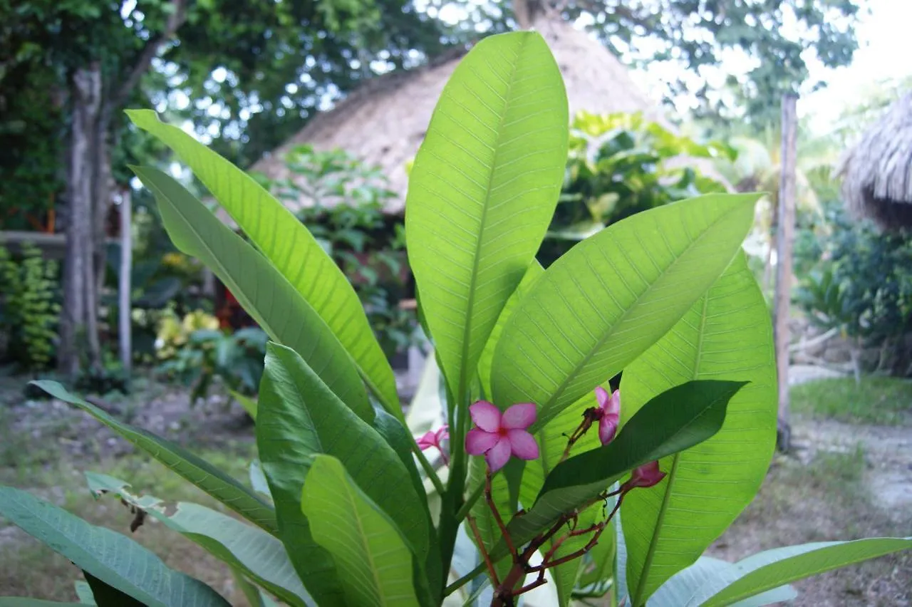 Hotel Pancho Villas Bacalar - Free Bikes And Paddles 4*,